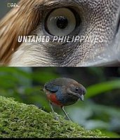 Дикая природа Филиппин/Untamed Philippines