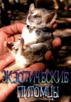 Экзотические питомцы/Preposterous pets