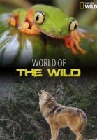 Мир дикой природы/World of the Wild