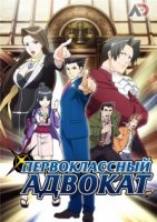 Первоклассный адвокат/Gyakuten Saiban 1 сезон