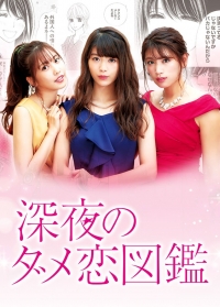 Путеводитель по плохим любовным историям/The Guide to Late Night Bad Love