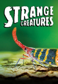 Странные существа/Strange Creatures 1 сезон