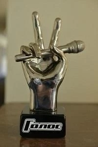 Голос 12 сезон