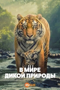 В мире дикой природы (2025)/The Wild Ones