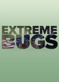 Экстремальные насекомые/Extreme Bugs