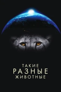 Такие разные животные/Life in the Animal Kingdom