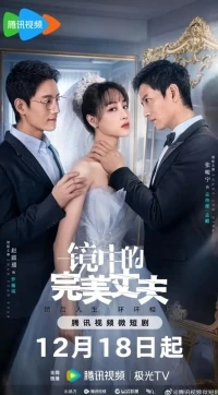 Идеальный муж в отражении/The Perfect Husband in the Mirror