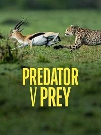 Хищник против жертвы/Predator v Prey 2 сезон