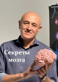Секреты мозга/Secrets Of The Brain